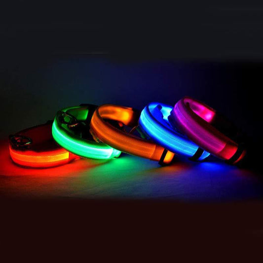 Nylon LED PetSupplies Dog Luminous Collar Night Safety Flashing Glow in Dark Dog Cat Leash Adjustable Pet z - KuzuSHOP