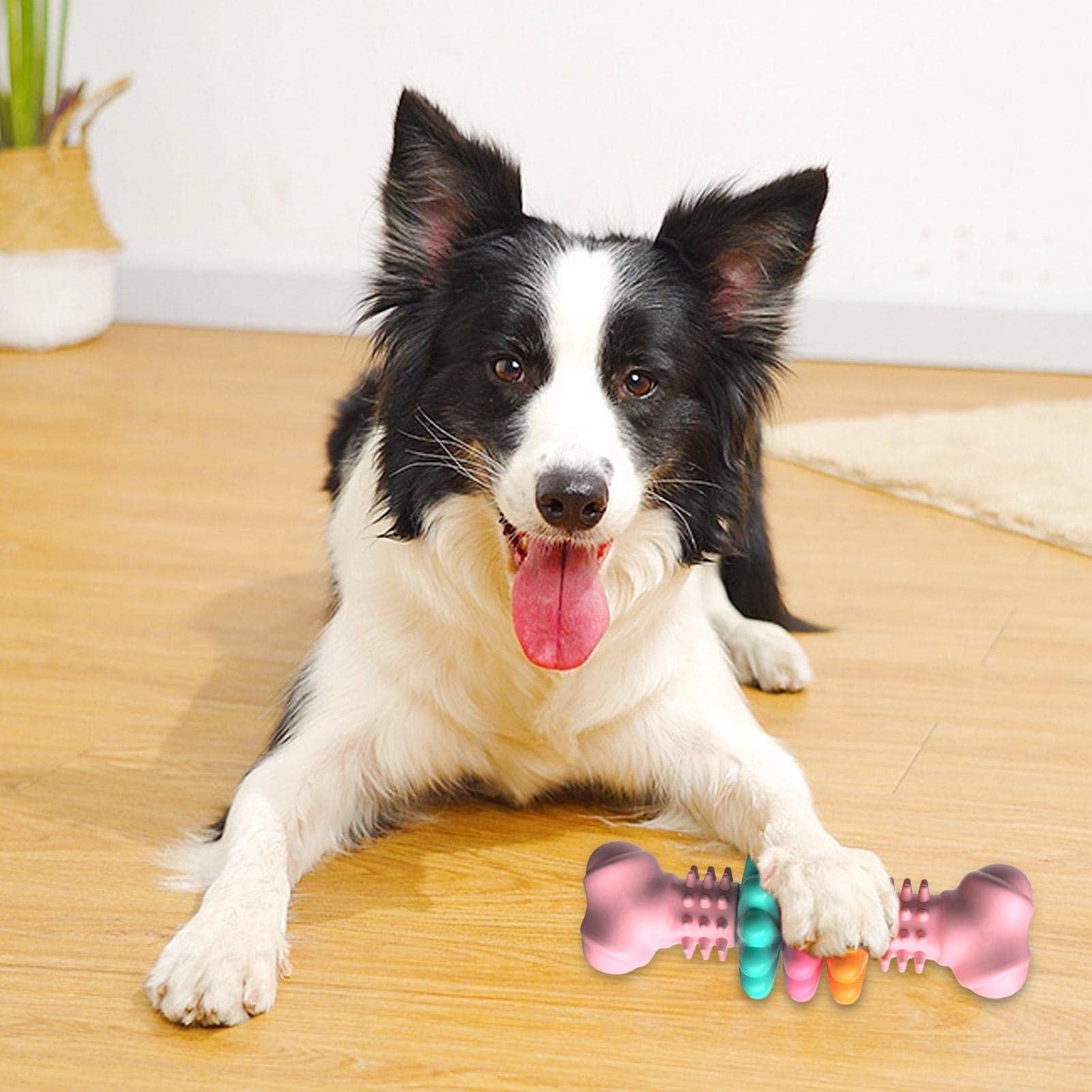 Dog Chew Toy Dog Bone Type  Dogs Teeth Cleaning Toys Indestructible TPR Bone Chewing Bite Resistant Teething Toys  Pet Products - KuzuSHOP