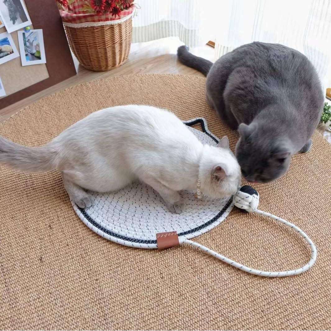 Braided Cotton Rope Cat Claw Mat Self Hi Ball One Piece Sleeping Mat Washable Anti Sticky Scratching Artifact Cat Scratching Mat Pet Products - KuzuSHOP