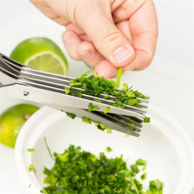 Multifunctional Multi-layer Green Onion Scissors Stainless Steel Onion Cutting Knife Herb Seaweed Spice Scissors Kitchen Scissor Kitchen Gadgets - KuzuSHOP