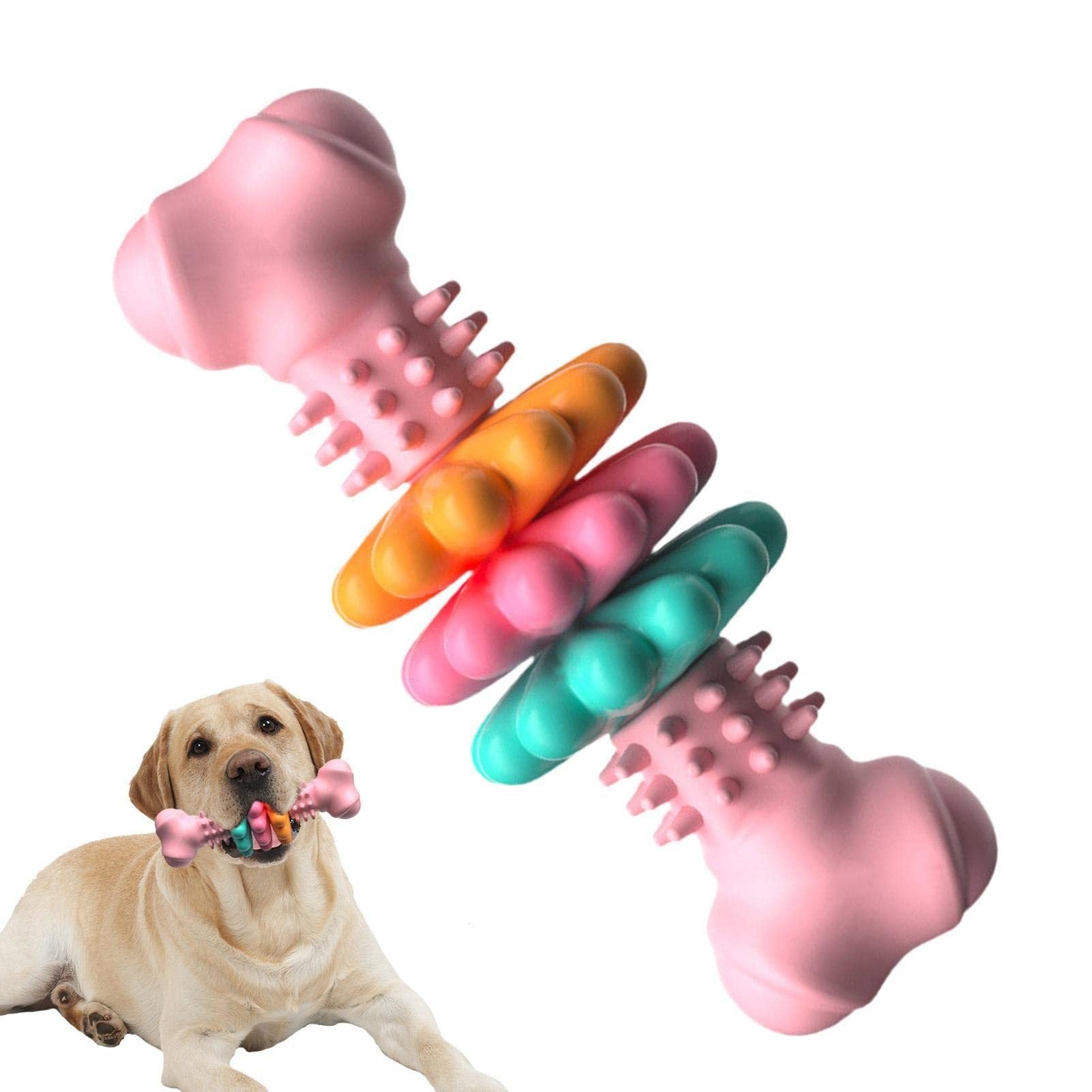 Dog Chew Toy Dog Bone Type  Dogs Teeth Cleaning Toys Indestructible TPR Bone Chewing Bite Resistant Teething Toys  Pet Products - KuzuSHOP