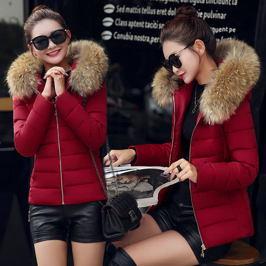 Women's Cotton-padded Coat Plus Size Short Fur Collar Slim Quilted Coat - KuzuSHOP