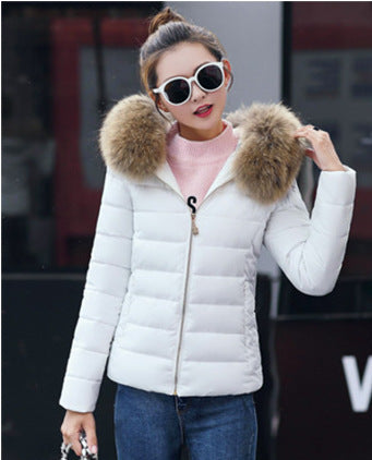Women's Cotton-padded Coat Plus Size Short Fur Collar Slim Quilted Coat - KuzuSHOP