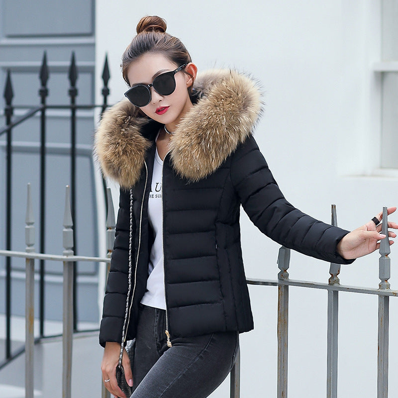 Women's Cotton-padded Coat Plus Size Short Fur Collar Slim Quilted Coat - KuzuSHOP