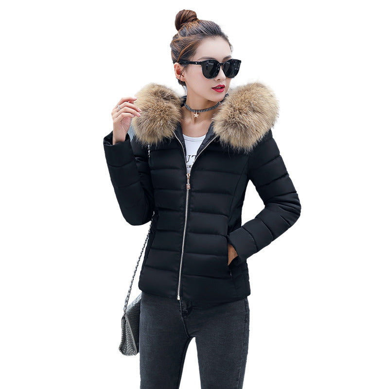 Women's Cotton-padded Coat Plus Size Short Fur Collar Slim Quilted Coat - KuzuSHOP