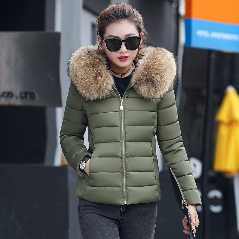 Women's Cotton-padded Coat Plus Size Short Fur Collar Slim Quilted Coat - KuzuSHOP