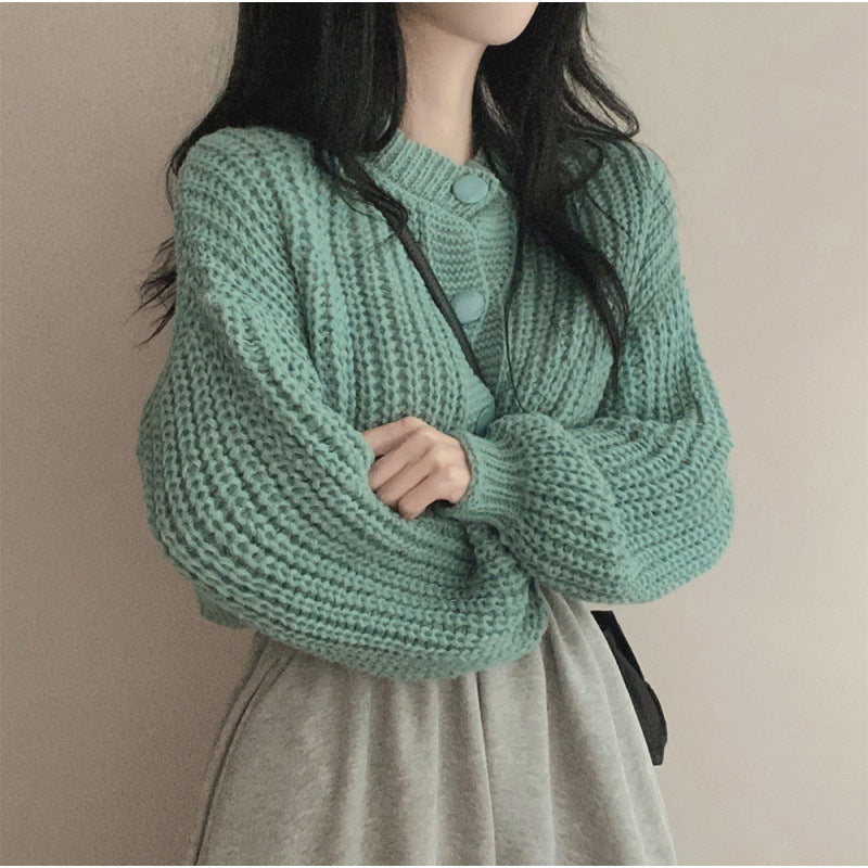 Women's Fashion Knitwear Sweater Short Coat - KuzuSHOP