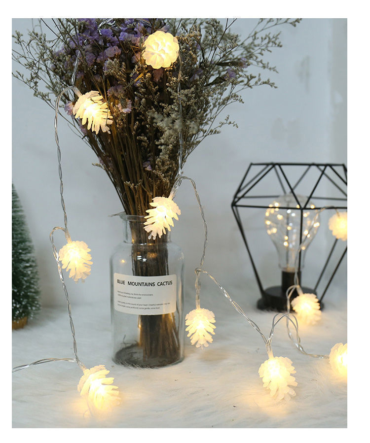 LED Simulation Transparent Pine Nut Light String - KuzuSHOP